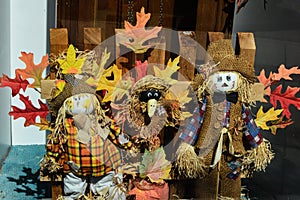 Scarecrow Decoration with Leaves and a Crow