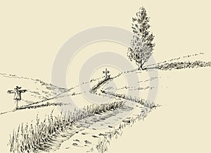 Scarecrow in a field landscape