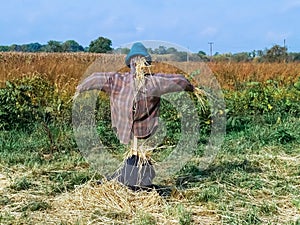 Scarecrow in Field