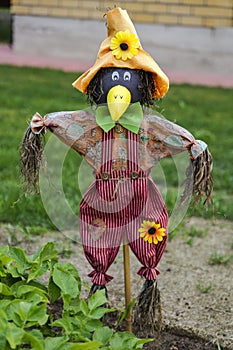 Scarecrow fright