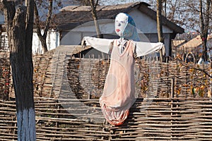 Scarecrow garden on a wicker fence.