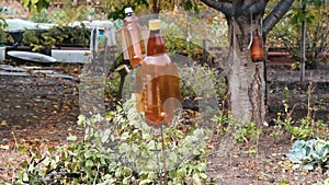 Scarecrow in the garden. Homemade devices from a plastic bottle to scare away birds and animals from a garden with vegetables