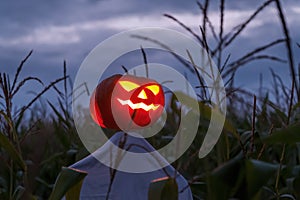 A scarecrow with a glowing pumpkin head in a night corn field. Creepy Halloween concept