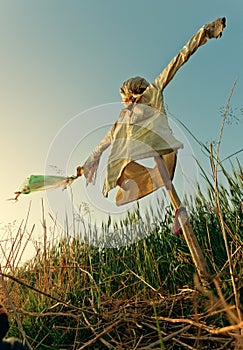 The Scarecrow in an Indian field