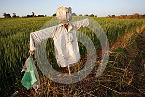 The Scarecrow in an Indian field