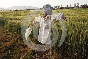 The Scarecrow in an Indian field