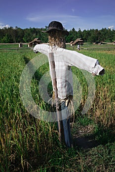 Scarecrow made from rice straw