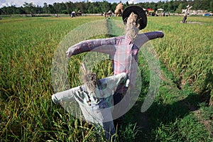 Scarecrow made from rice straw