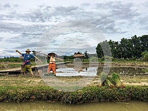 Scarecrow man and woman stand together at rice fields