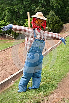 Scarecrow with pumpkin head wearing overalls