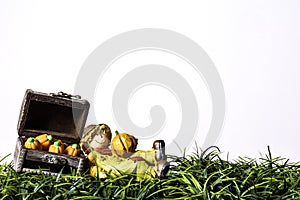 Scarecrow and Pumpkins on Green Grass