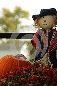 Scarecrow and pumpkins Vertical