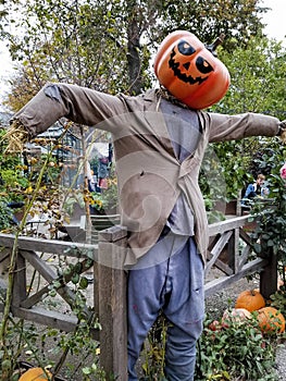 Scarecrow in ragged clothing with a classic pumpkin head