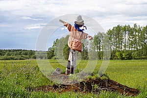 A scarecrow standing in a field wearing an orange jacket, meadow and trees in the background.