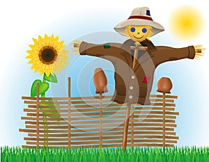 Scarecrow straw in a coat and hat with fence and sunflowers