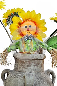 Scarecrow sunflower