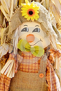Scarecrow with Sunflower photo