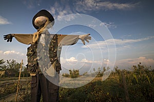 Scarecrow at sunset background