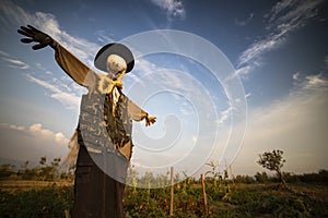 Scarecrow at sunset background