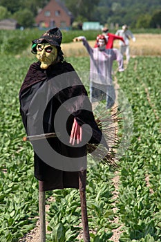 Scarecrows photo