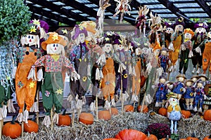 Scarecrows photo