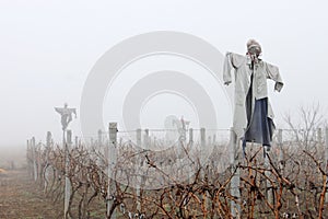 Scarecrows in the Fog