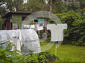 scarecrows and greenhouse