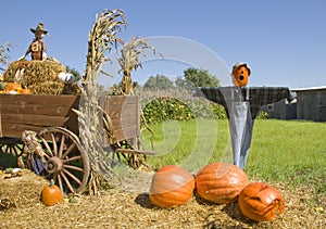 Scarecrows On Pumpkin Farm