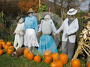 Scarecrows in a pumpkin patch