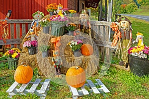 scarecrows, pumpkins, hay bales and Chrysanthemums in Fall at Vermont farm store
