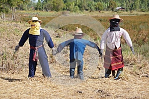 Scarecrows in Thailand photo