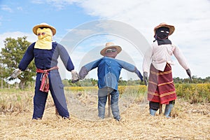 Scarecrows in Thailand photo