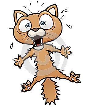 Scared cartoon cat