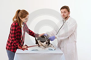 Dog getting checked at vet clinic with thir owner.