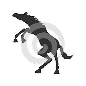 Scared horse silhouette. Isolated prancing mustang. Black jump pony. Wild active animal