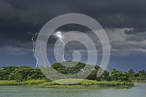 Scared lightning behind big trees in the lake