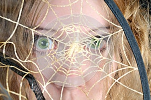 Scared look through spider's web