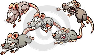 Scared rats