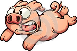 Scared running pig