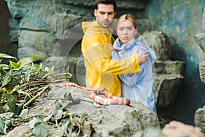 scared young couple in raincoats terrified of snake photo