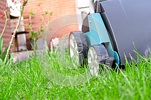 Scarifier on green grass. Work in the garden.