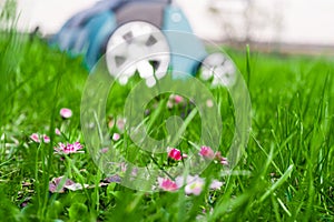 Scarifier on green grass. Work in the garden. scarifier