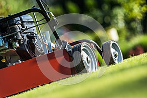 Scarifier or Verticutter on a Backyard Lawn