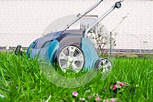 Scarifier Work into the garden.