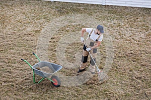 Scarifying lawn with rake and scarifier, Man gardener scarifies the lawn and removal of old grass