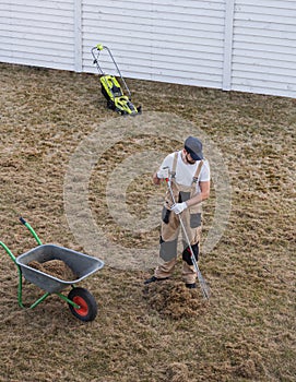 Scarifying lawn with rake and scarifier, Man gardener scarifies the lawn and removal of old grass