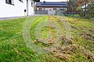 Scarifying the lawn before the winter season using an electric scarifier.