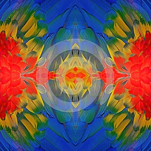 Scarlet Macaw feathers