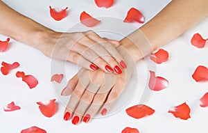 Scarlet manicure and rose petals