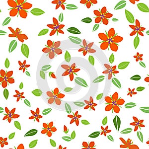 Scarlet pimpernel flat illustration seamless repeat pattern